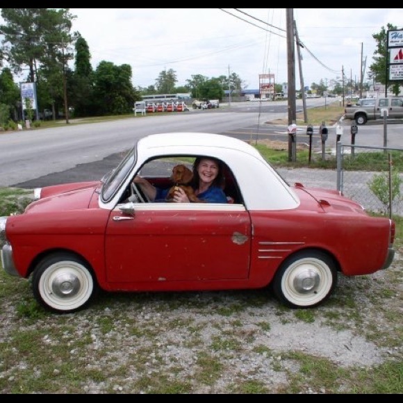 Meet your Posher, Robin - Picture 7 of 14